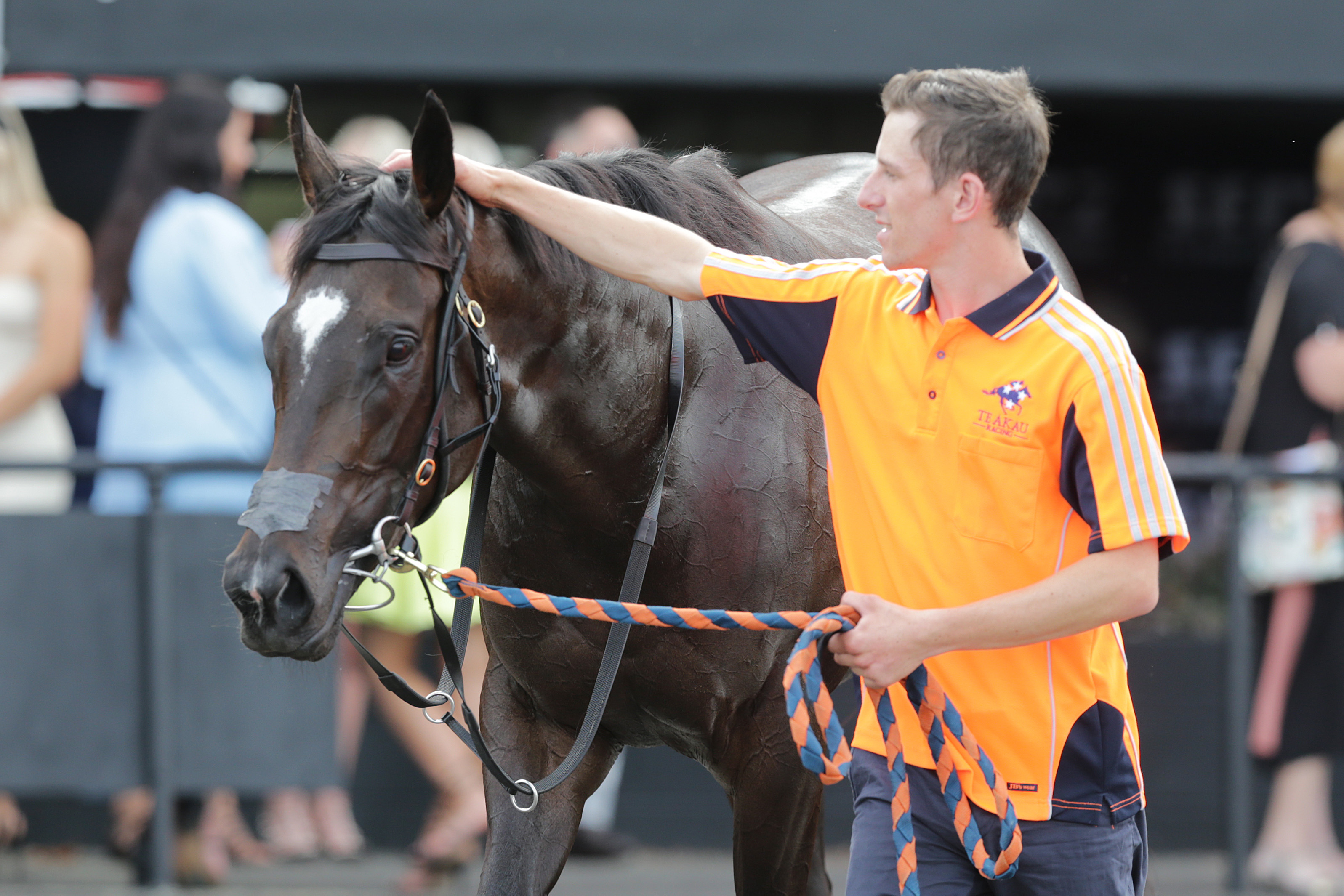 Durrant leading tangerine charge at Riccarton